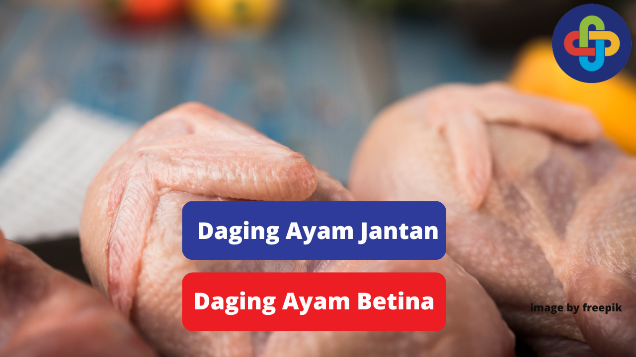 Ketahui Beda Daging Ayam Jantan dan Betina